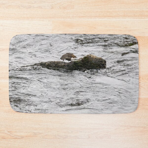 Item preview, Aah. White-throated dipper designed and sold by Jouko Lehto Photography.