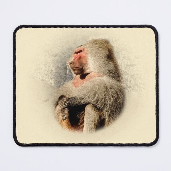 Item preview, Baboon designed and sold by Guardi71.