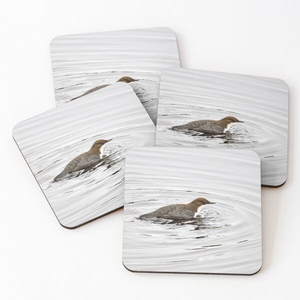 Item preview, To dive or not. White-throated dipper designed and sold by Jouko Lehto Photography.