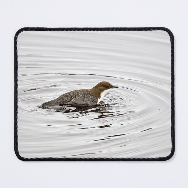 Item preview, To dive or not. White-throated dipper designed and sold by Jouko Lehto Photography.