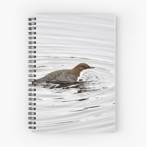 Item preview, To dive or not. White-throated dipper designed and sold by Jouko Lehto Photography.