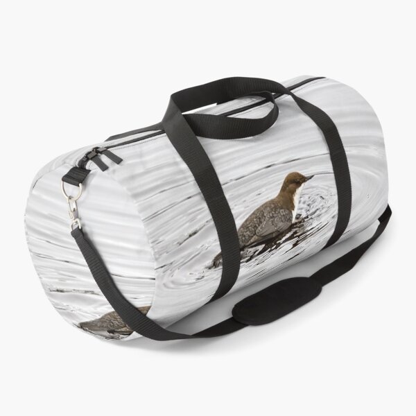 Item preview, To dive or not. White-throated dipper designed and sold by Jouko Lehto Photography.