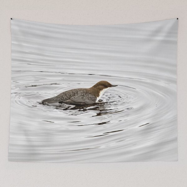 Item preview, To dive or not. White-throated dipper designed and sold by Jouko Lehto Photography.
