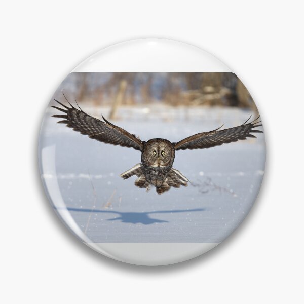 Item preview, Great Grey Owl in flight designed and sold by James Cumming.