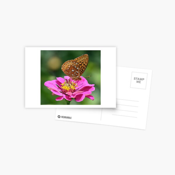 Great Spangled Fritillary Postcard