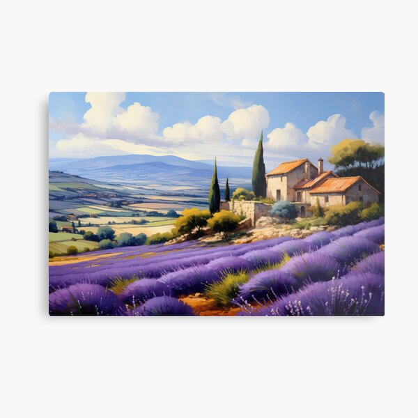 Lavender field, France. Metal Print