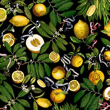 Aperçu de l'œuvre Citronnier - Noir de Fifikoussout