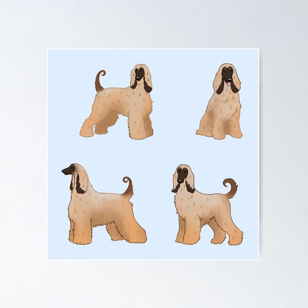 Item preview, Cute Afghan hound pack designed and sold by Yaragold.