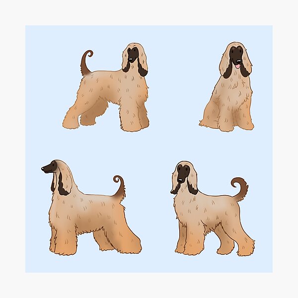 Item preview, Cute Afghan hound pack designed and sold by Yaragold.