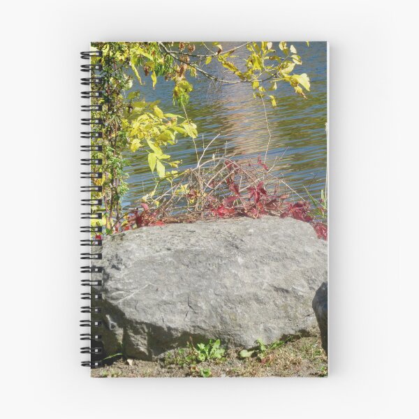 Item preview, Rokcs on a the river bank designed and sold by Shulie1.