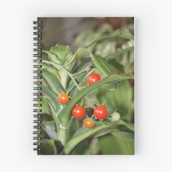Item preview, Two friends - yucca stem and tomato designed and sold by Made-by-Gus.