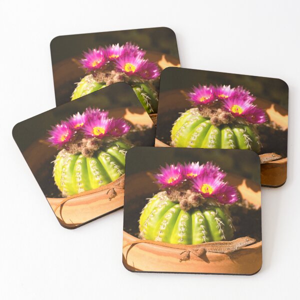 Item preview, Lizard and Parodia cactus in bloom designed and sold by Zina Stromberg.