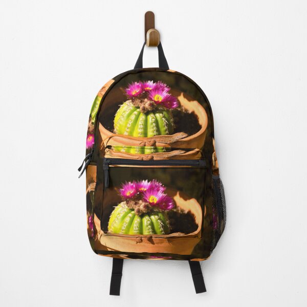 Item preview, Lizard and Parodia cactus in bloom designed and sold by Zina Stromberg.