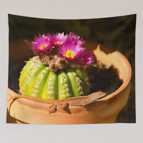 Item preview, Lagarto y cactus Parodia en flor designed and sold by Zina Stromberg.