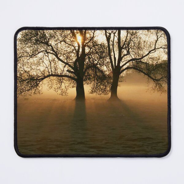 Item preview, Group of trees in the morning mist designed and sold by Made-by-Gus.