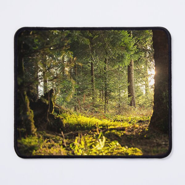 Item preview, Forest aisle in the sunset designed and sold by Made-by-Gus.