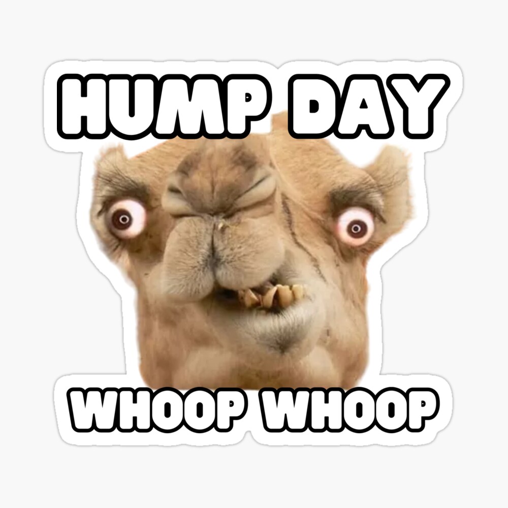 hump day Stickers, happy hump day wednesday