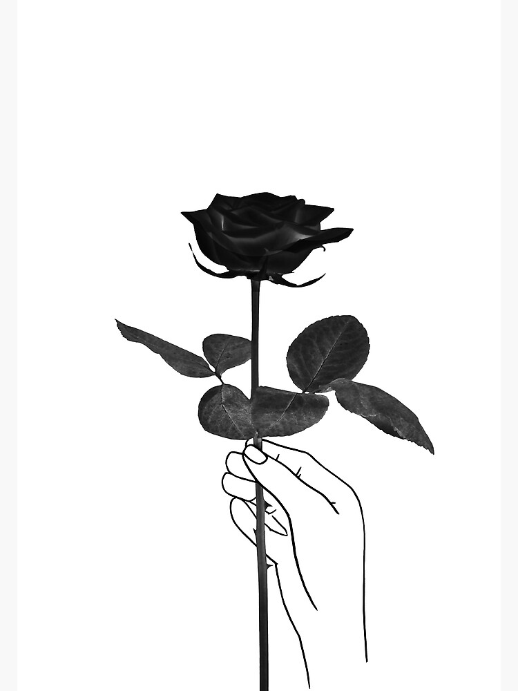 "Black Rose, hand holding rose" Art Print for Sale by TheRedFinch