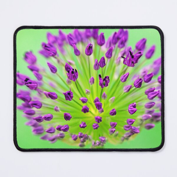 Item preview, Neon Allium designed and sold by Deb Oppermann.