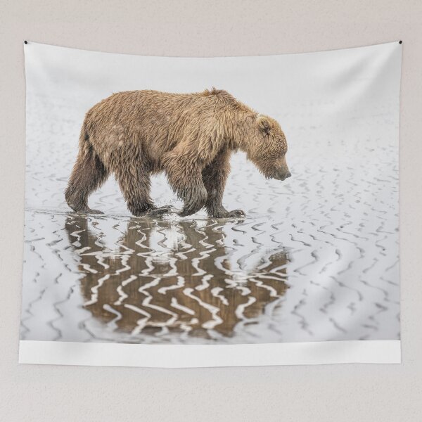 Item preview, Brown Bear Reflections Alaska designed and sold by PhotoArt by Joan Carroll.