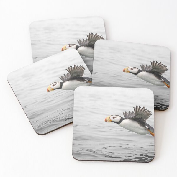 Item preview, Horned Puffin Takes Off For Flight 2 Alaska designed and sold by PhotoArt by Joan Carroll.