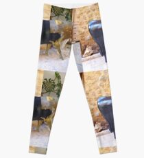 Taurus......................................Majorca Leggings