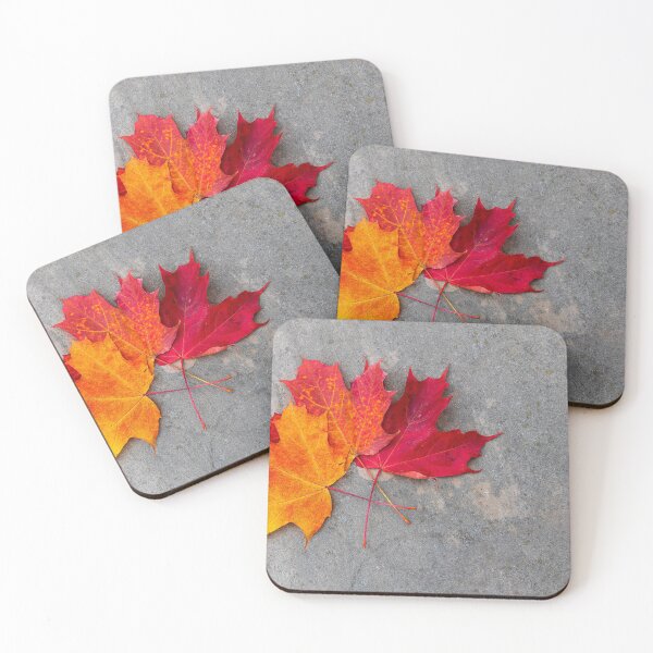 Item preview, Colourful Maple Leaves designed and sold by jrtwynam.