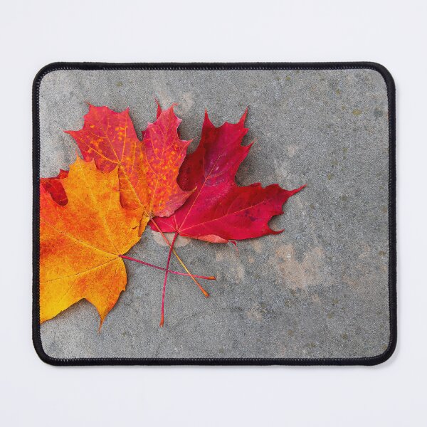 Item preview, Colourful Maple Leaves designed and sold by jrtwynam.