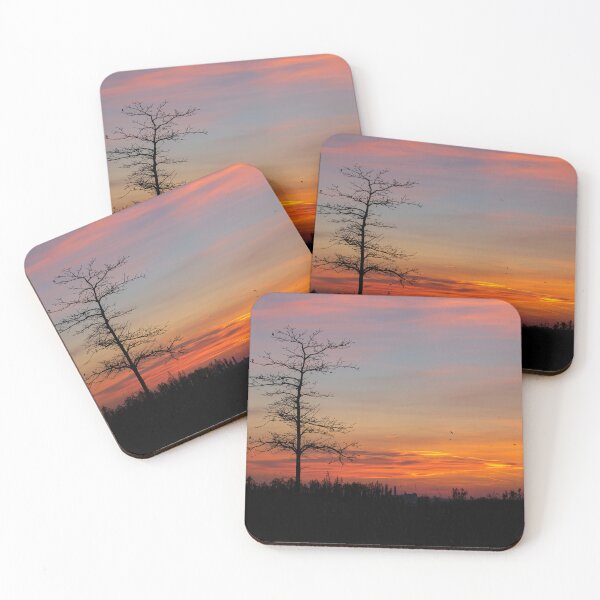 Item preview, Bare Tree Sillhouette against Sunset Sky designed and sold by jrtwynam.