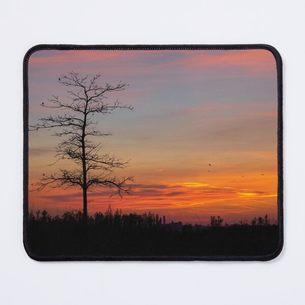 Item preview, Bare Tree Sillhouette against Sunset Sky designed and sold by jrtwynam.