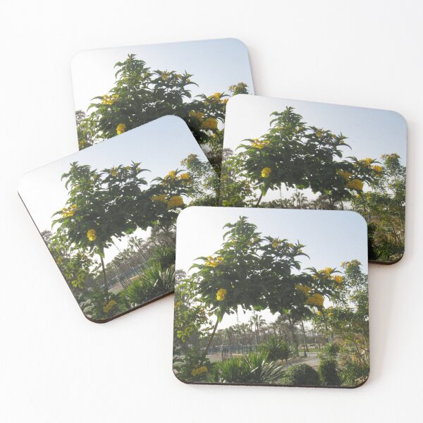 Item preview, flower  plant and montazah garden designed and sold by sadeek1021953Ss.