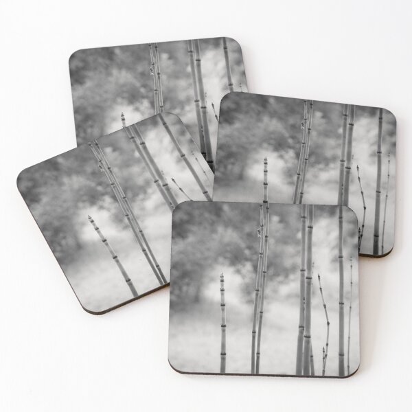 Item preview, Bamboo photograph - Black and white version designed and sold by Origillus.