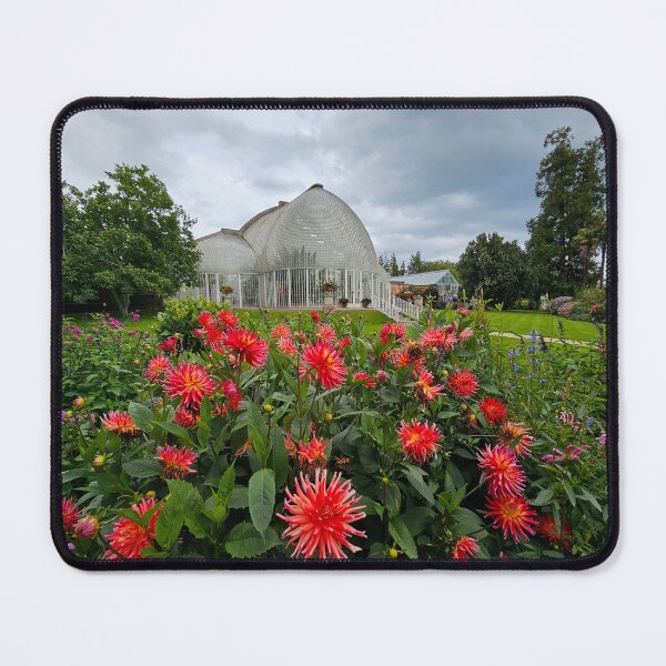 Item preview, The Palm House designed and sold by Kat Simmons.