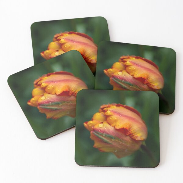 Item preview, Orange Parrot Tulip designed and sold by Helen K. Passey.