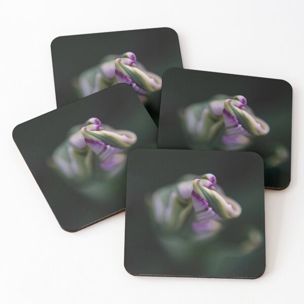 Item preview, Lavender Tease designed and sold by Helen K. Passey.
