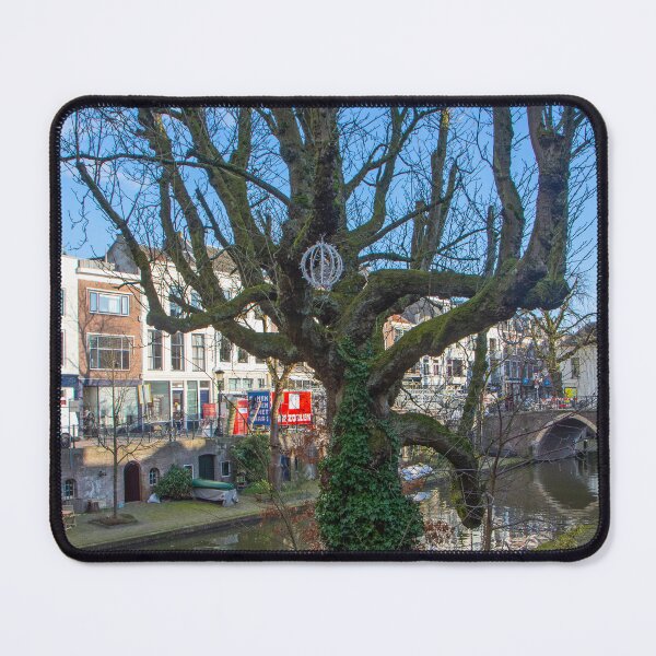 Item preview, An old chestnut tree at the Oude Gracht at Utrecht designed and sold by jchanders.