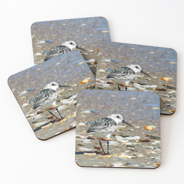 Item preview, Sandpiper on shells eyeing the situation designed and sold by ncNatureVisions.