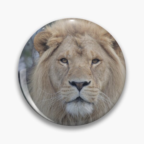 Item preview, The Majestic Lion, the King of his domain. designed and sold by So Much 2 See.