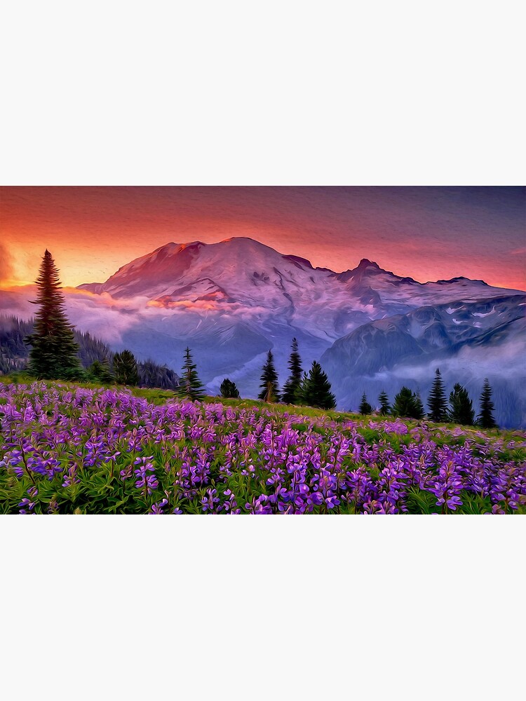 Washington, Mt Rainier National Park by ErianAndre
