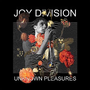 Artwork thumbnail, joy by Rosa Picnic
