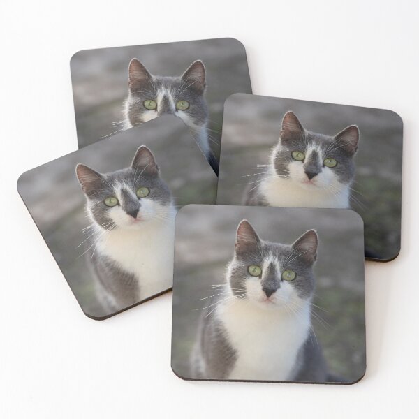 Item preview, You Have My Full Attention designed and sold by SweepingShadows.