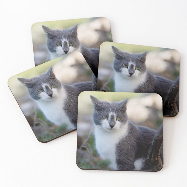 Item preview, Grey and White Black Nosed Cat designed and sold by SweepingShadows.