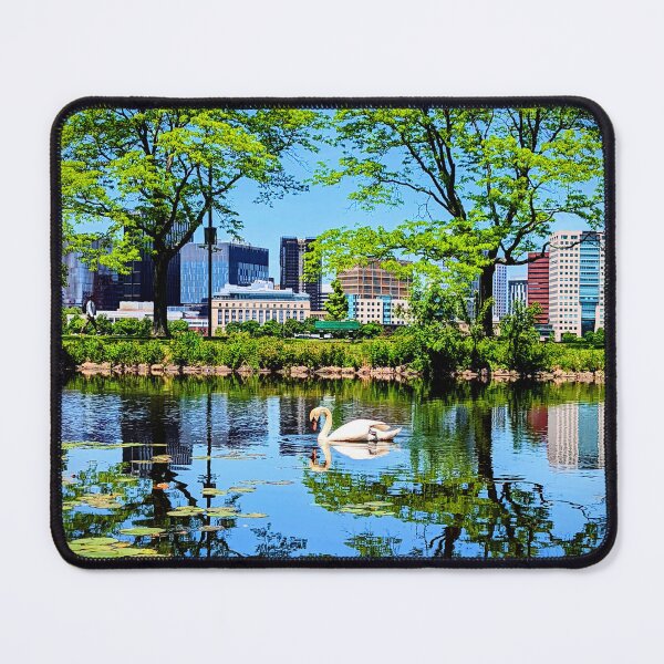 Item preview, Swan in the Charles designed and sold by Cullen Curnow.