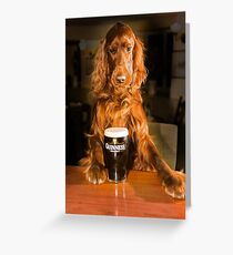Irish Seter mit Pint Stout Grußkarte