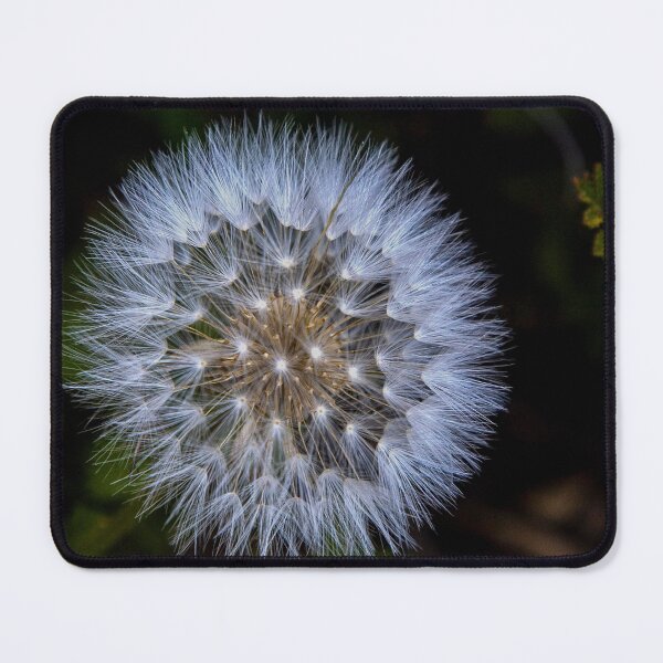Item preview, Dandelion designed and sold by dawn2dawn.