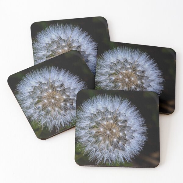 Item preview, Dandelion designed and sold by dawn2dawn.