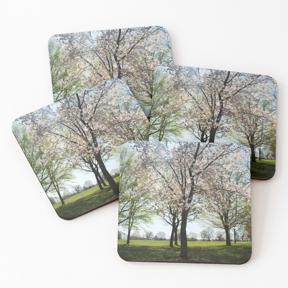 Item preview, Coasters (Set of 4) designed and sold by RachelJBowler.