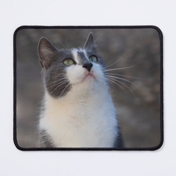 Item preview, Wonder designed and sold by SweepingShadows.