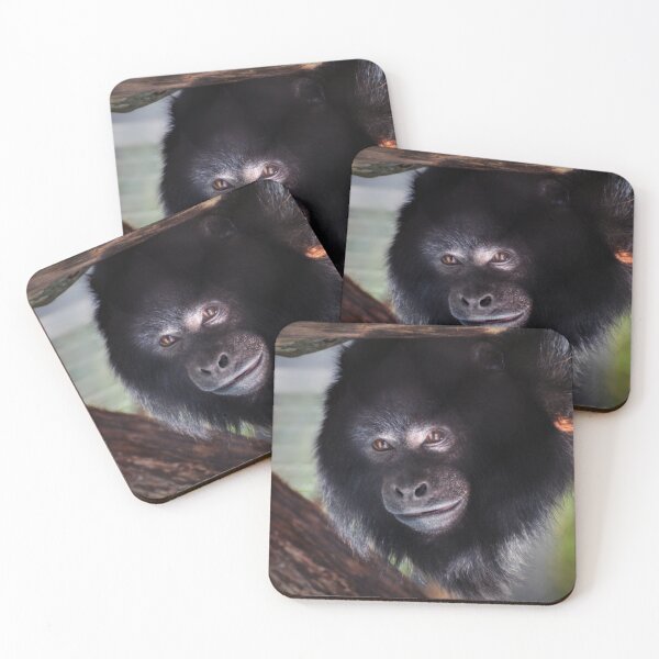 Item preview, Howler Monkey designed and sold by Savannah Gibbs.