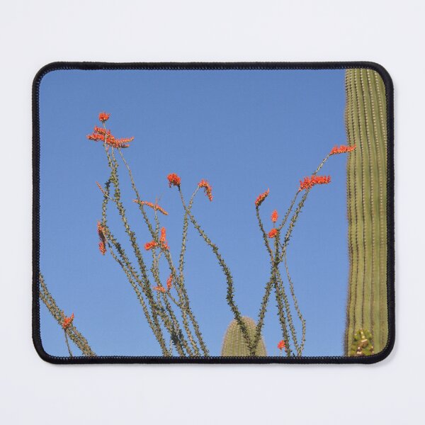 Item preview, Ocotillo in Full Bloom designed and sold by Kathleen Brant.